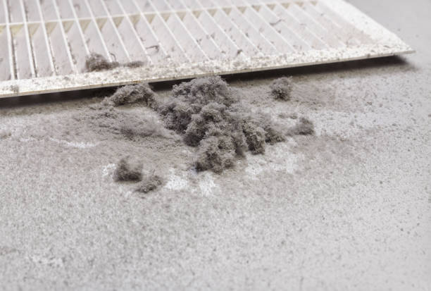 Best Best Air Duct Cleaning Company  in St Augustine South, FL
