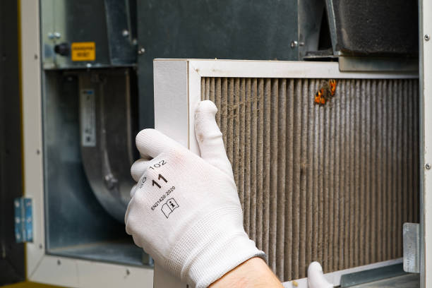 Best Affordable Air Duct Cleaning  in St Augustine South, FL